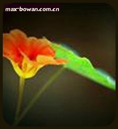 吴芳